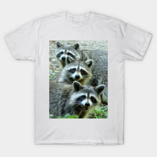 Three Raccoon T-Shirt